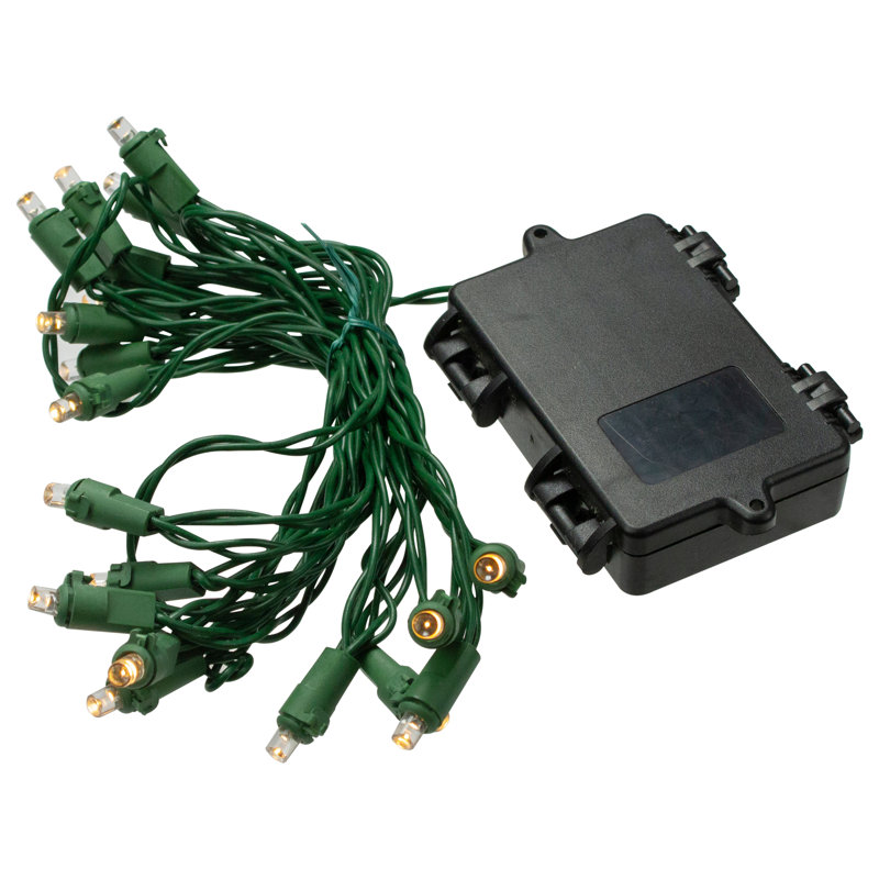 Northlight 300 LED Wide Angle Mini Christmas Lights 74.75 ft Green